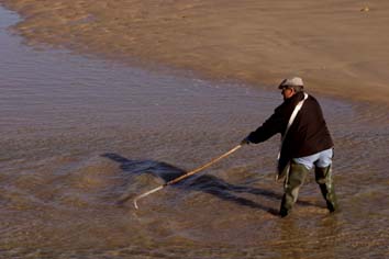 Pescador de aguacioso