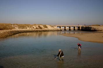 Pescadores de aguaciosos