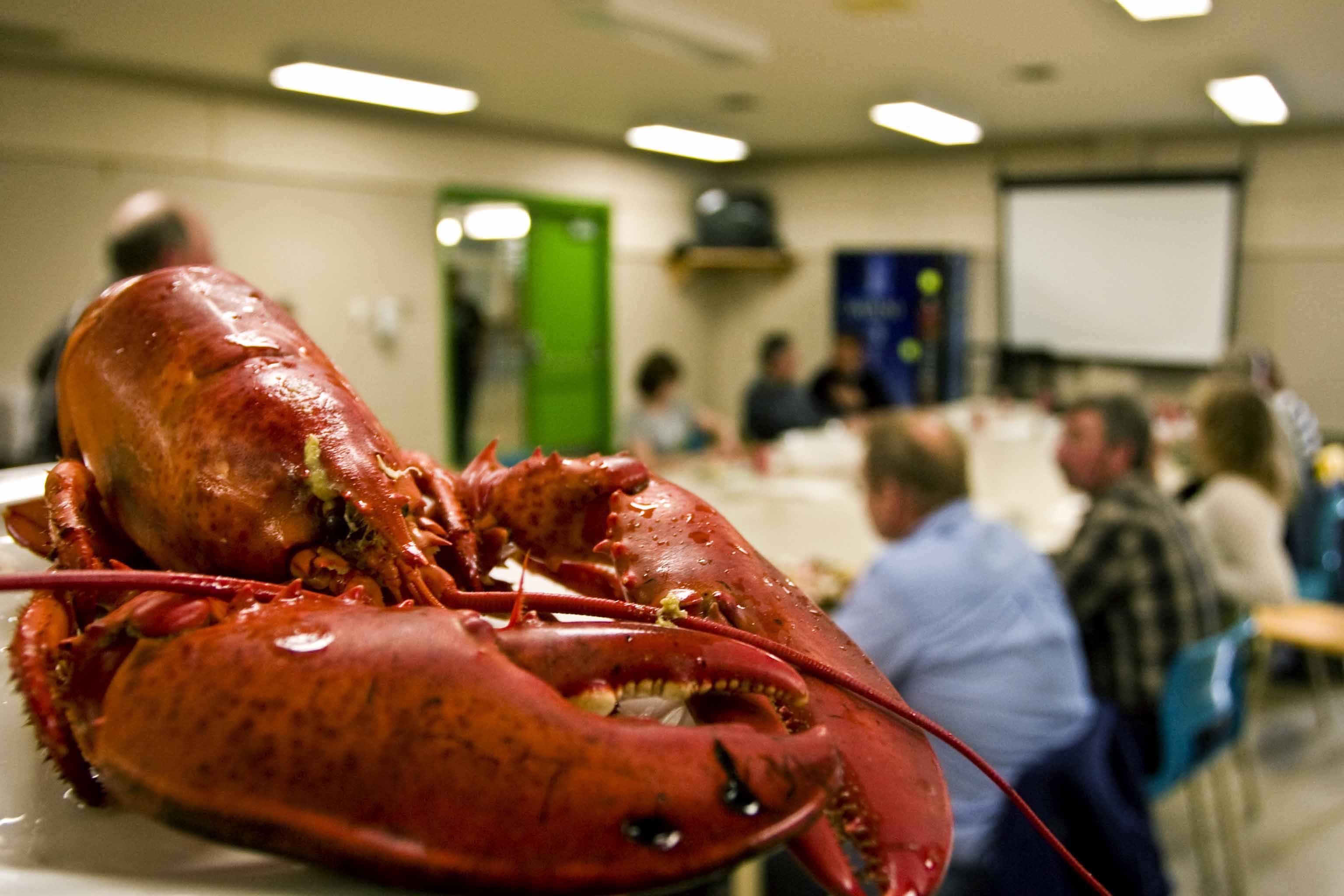 Lobster_dinner